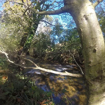 Maison Picatzia - Pays Basque Uhart-Mixe