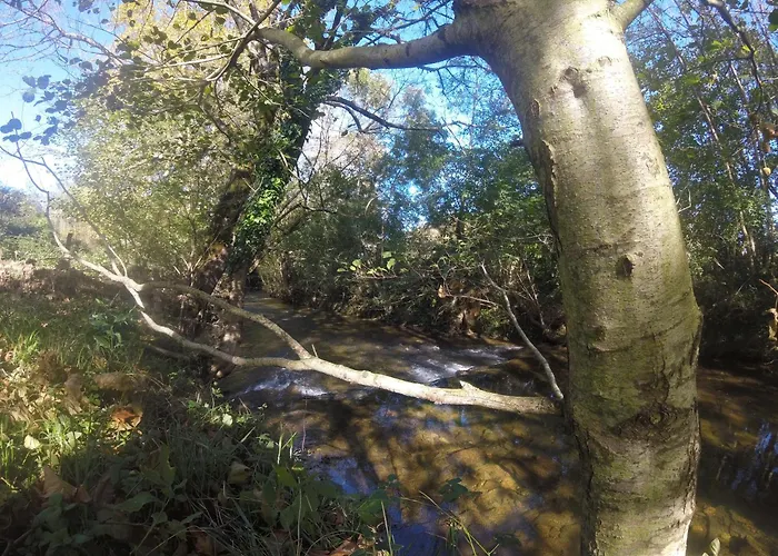 Maison Picatzia - Pays Basque Uhart-Mixe